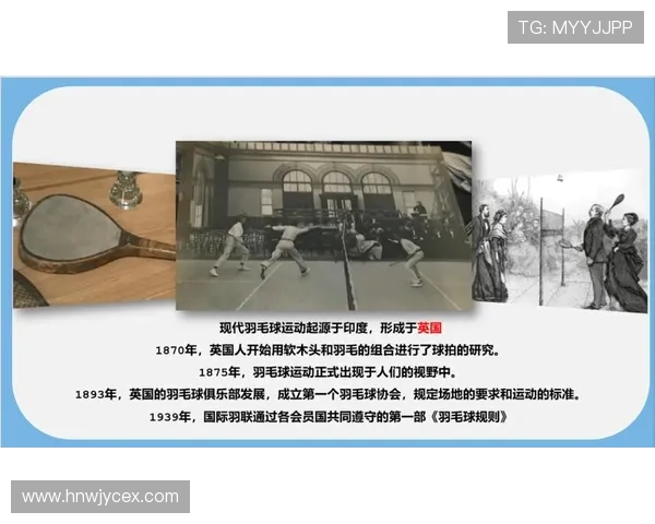 与羽毛球女将杨娜的深度对话探索她的职业生涯与未来展望