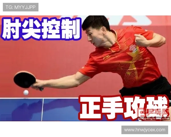 从零基础到高手之路乒乓球技术全方位提升指南