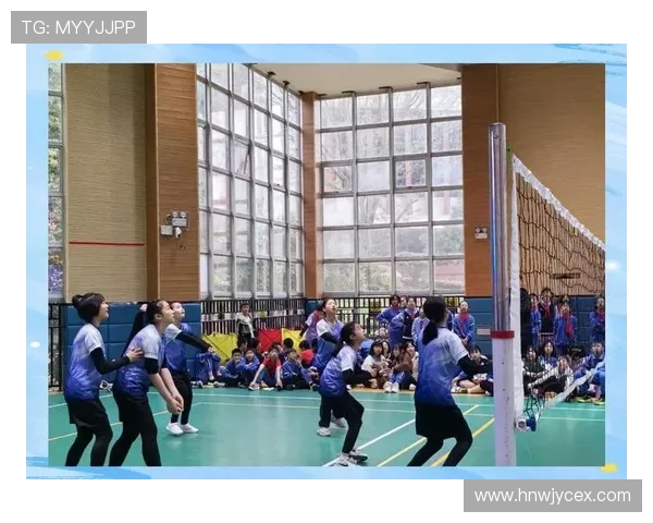 广州排球队挑战赛点评展现力量与团队精神的完美结合