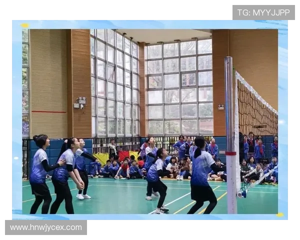 全国锦标赛回顾：杭州排球队展现卓越团队协作精神与竞技风采